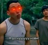 1000207590.jpg